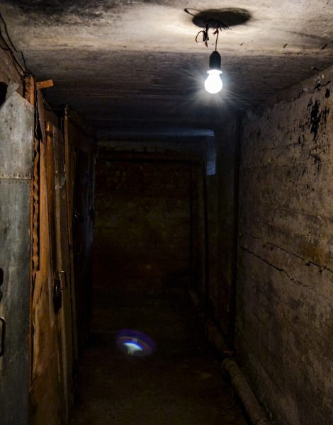 A terrible dark concrete corridor in the basement with locked doors, lit by a single light bulb